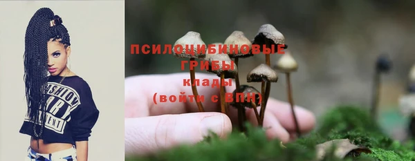 хмурый Абинск