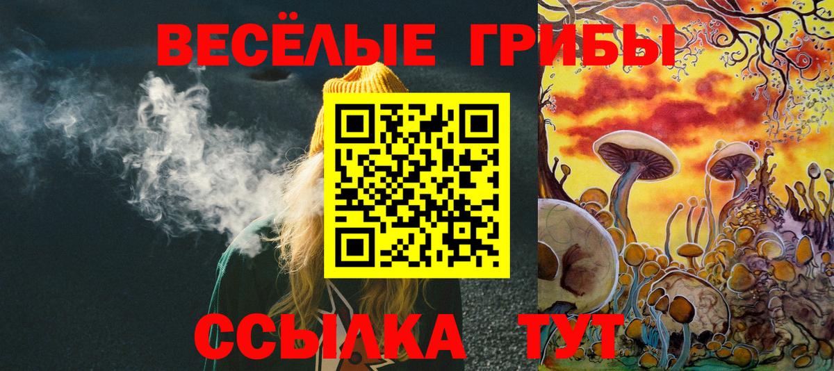 Галлюциногенные грибы Cubensis Кызыл