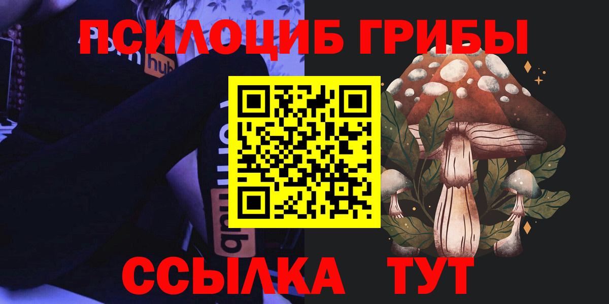 купить наркотики цена  Вход с VPN  Кызыл  Псилоцибиновые грибы Cubensis  Галлюциногенные грибы Magic Shrooms 